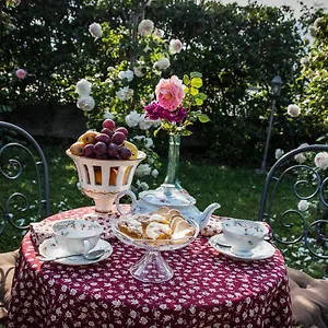 Del Tempo Stretto Albenga