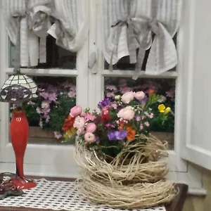 Artemisia B&B Albenga